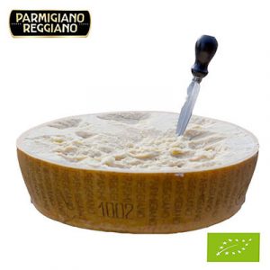 Half wheel Organic Parmigiano Reggiano aged 12 months – Online Sale